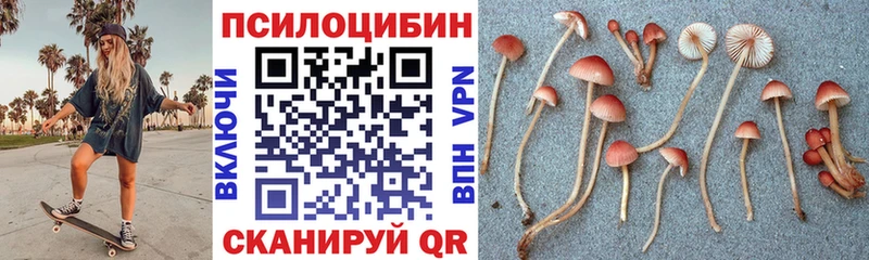 Купить закладки  Нолинск  Псилоцибиновые грибы Psilocybine cubensis 
